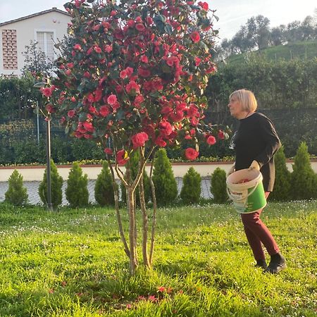 Casa Isabelle Διαμέρισμα Canneto  Εξωτερικό φωτογραφία