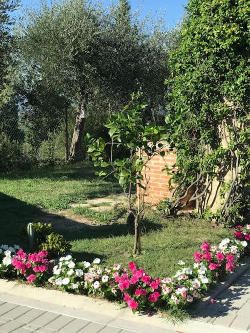 Casa Isabelle Διαμέρισμα Canneto  Εξωτερικό φωτογραφία
