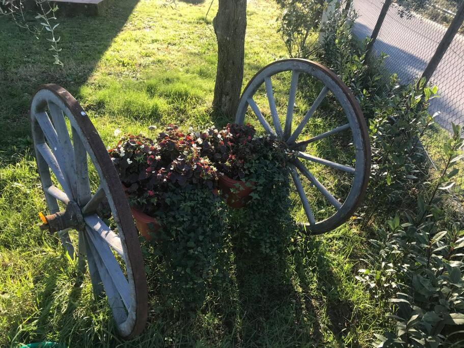 Casa Isabelle Διαμέρισμα Canneto  Εξωτερικό φωτογραφία