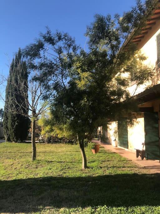 Casa Isabelle Διαμέρισμα Canneto  Εξωτερικό φωτογραφία