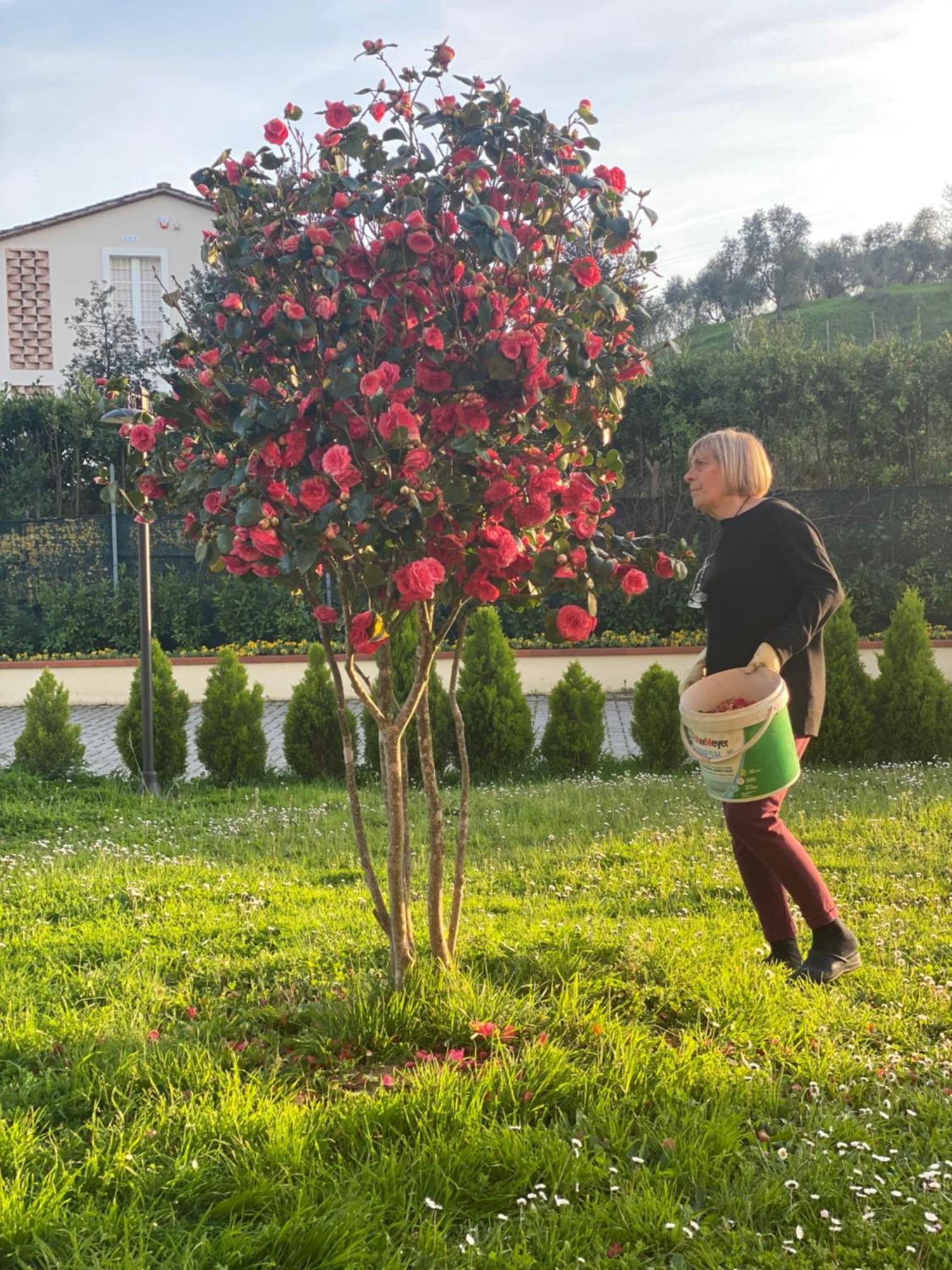 Casa Isabelle Διαμέρισμα Canneto  Εξωτερικό φωτογραφία